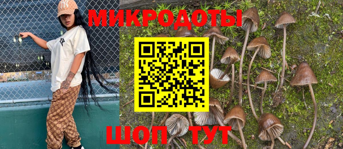Псилоцибиновые грибы GOLDEN TEACHER  Вход с VPN  Дивногорск 